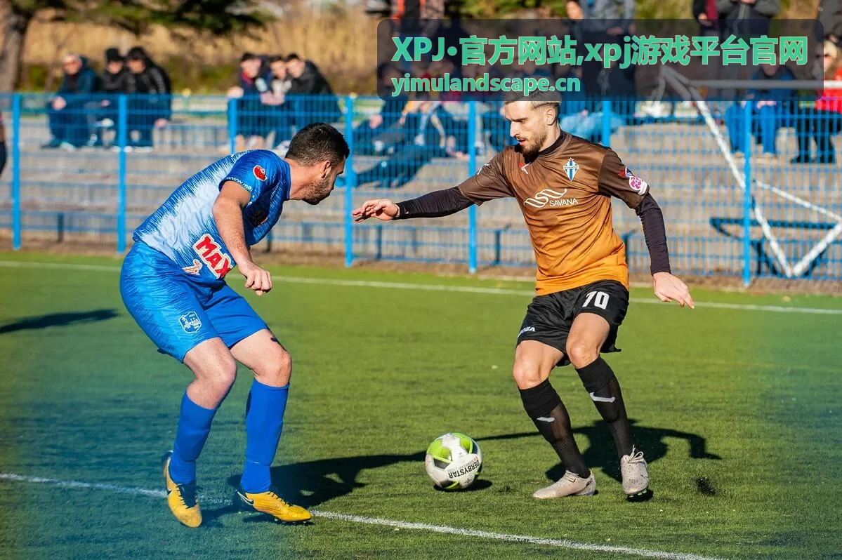 XPJ·官方网站入口说明视觉图